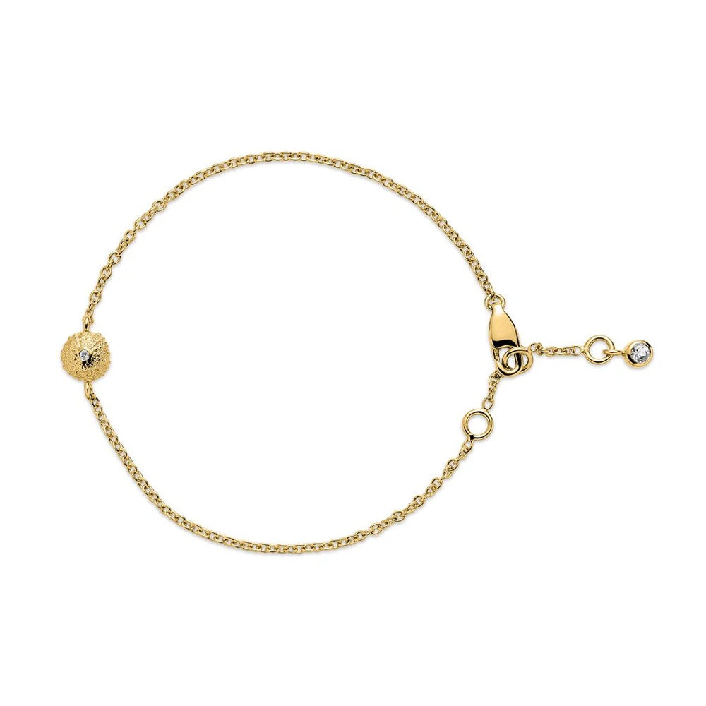 Sea Urchin Treasure Bracelet in Gold Diamond